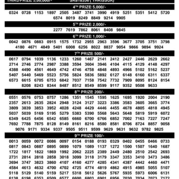 Kerala Lottery Result Sthree sakthi SS-502 Today 13/01/2026